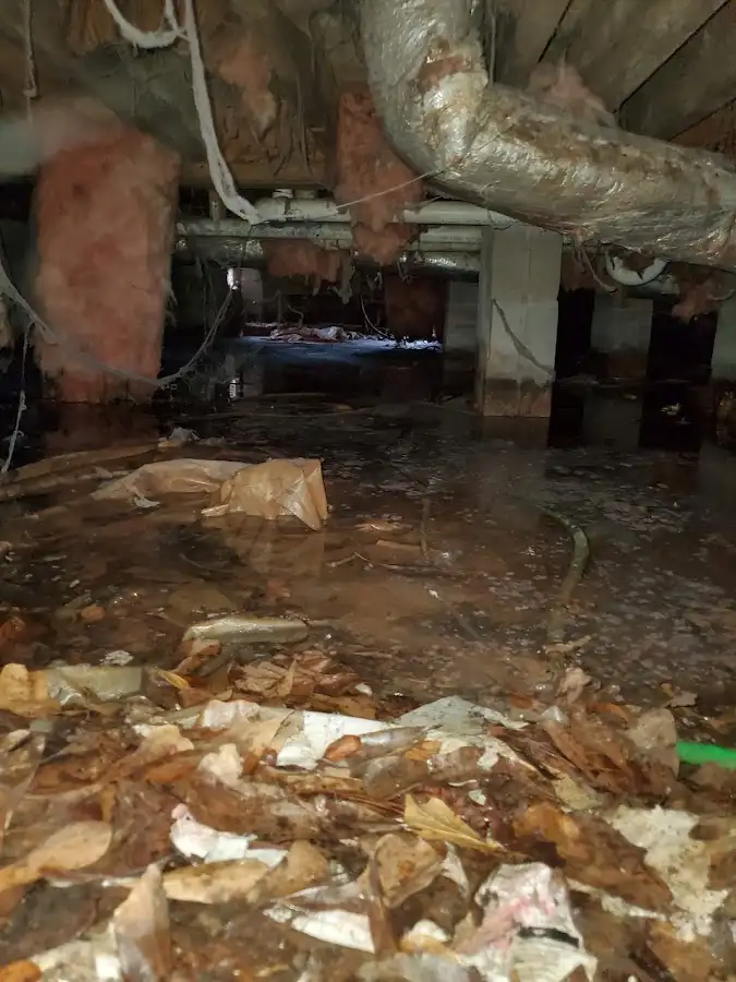 Crawl space flood assessment for Leak Detection & Repair in Yucca Valley